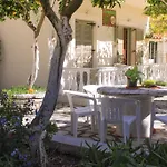 The Orange Garden *